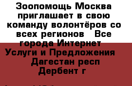 Зоопомощь.Москва приглашает в свою команду волонтёров со всех регионов - Все города Интернет » Услуги и Предложения   . Дагестан респ.,Дербент г.